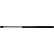 Purchase Top-Quality Lift Support by STRONG ARM - E7317 pa1