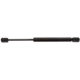 Purchase Top-Quality Lift Support by STRONG ARM - E7334 pa1