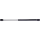 Purchase Top-Quality Lift Support by STRONG ARM - E7445 pa1