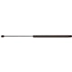 Purchase Top-Quality Lift Support by STRONG ARM - GL2010 pa1
