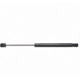 Purchase Top-Quality STRONG ARM - C6450 - Lift Support pa5