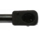 Purchase Top-Quality Lift Support by STRONG ARM - C7015 pa10
