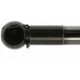 Purchase Top-Quality Lift Support by STRONG ARM - C7074L pa3