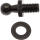 Purchase Top-Quality Lift Support by STRONG ARM - C7074L pa9