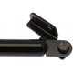 Purchase Top-Quality Lift Support by STRONG ARM - C7074R pa6