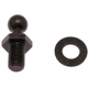 Purchase Top-Quality Lift Support by STRONG ARM - C7074R pa7