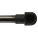 Purchase Top-Quality Lift Support by STRONG ARM - C7075 pa2