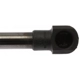 Purchase Top-Quality Lift Support by STRONG ARM - C7075 pa7