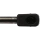Purchase Top-Quality Lift Support by STRONG ARM - C7091 pa7