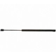 Purchase Top-Quality STRONG ARM - D6017 - Lift Support pa1