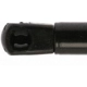 Purchase Top-Quality STRONG ARM - D6017 - Lift Support pa3