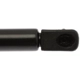 Purchase Top-Quality STRONG ARM - D6379 - Lift Support pa10