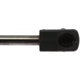 Purchase Top-Quality STRONG ARM - D6379 - Lift Support pa9