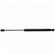Purchase Top-Quality STRONG ARM - D6859 - Lift Support pa9
