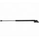 Purchase Top-Quality Lift Support by STRONG ARM - D7027 pa1