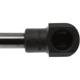 Purchase Top-Quality Lift Support by STRONG ARM - D7027 pa7