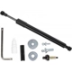 Purchase Top-Quality STRONG ARM - GL2002 - Lift Support pa6