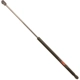 Purchase Top-Quality Lift Support by TRW AUTOMOTIVE - TSG201066 pa1