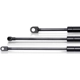 Purchase Top-Quality TRW AUTOMOTIVE - TSG230141 - Hatch Lift Support pa1