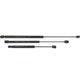 Purchase Top-Quality TRW AUTOMOTIVE - TSG230141 - Hatch Lift Support pa2
