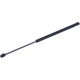 Purchase Top-Quality Lift Support by TUFF SUPPORT - 610191 pa2