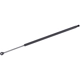 Purchase Top-Quality Lift Support by TUFF SUPPORT - 610209 pa2