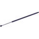 Purchase Top-Quality Lift Support by TUFF SUPPORT - 610209 pa3