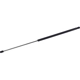 Purchase Top-Quality Lift Support by TUFF SUPPORT - 610308 pa1