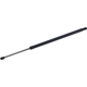 Purchase Top-Quality TUFF SUPPORT - 610476 - Liftgate Lift Support pa1