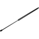 Purchase Top-Quality Lift Support by TUFF SUPPORT - 610477 pa2