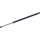 Purchase Top-Quality Lift Support by TUFF SUPPORT - 610524 pa1