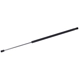 Purchase Top-Quality TUFF SUPPORT - 610539 - Hood Lift Support pa1