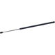 Purchase Top-Quality Lift Support by TUFF SUPPORT - 610552 pa5