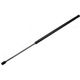 Purchase Top-Quality Lift Support by TUFF SUPPORT - 610687 pa4