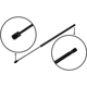 Purchase Top-Quality Lift Support by TUFF SUPPORT - 610687 pa5