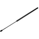 Purchase Top-Quality Lift Support by TUFF SUPPORT - 610735 pa3