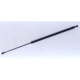 Purchase Top-Quality Lift Support by TUFF SUPPORT - 610746 pa1