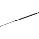 Purchase Top-Quality Lift Support by TUFF SUPPORT - 610746 pa2