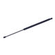 Purchase Top-Quality Lift Support by TUFF SUPPORT - 610755 pa1