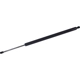 Purchase Top-Quality Lift Support by TUFF SUPPORT - 610786 pa1