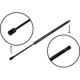 Purchase Top-Quality Lift Support by TUFF SUPPORT - 610805 pa3