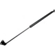 Purchase Top-Quality Lift Support by TUFF SUPPORT - 610817 pa4