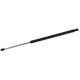 Purchase Top-Quality TUFF SUPPORT - 610819 - Liftgate Lift Support pa1