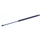 Purchase Top-Quality Lift Support by TUFF SUPPORT - 611081 pa1