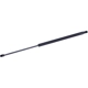 Purchase Top-Quality Lift Support by TUFF SUPPORT - 611081 pa2