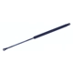 Purchase Top-Quality Lift Support by TUFF SUPPORT - 611114 pa1