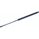 Purchase Top-Quality Lift Support by TUFF SUPPORT - 611114 pa3