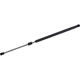 Purchase Top-Quality Lift Support by TUFF SUPPORT - 611238 pa1