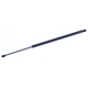 Purchase Top-Quality Lift Support by TUFF SUPPORT - 611399 pa3