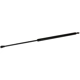 Purchase Top-Quality Lift Support by TUFF SUPPORT - 611444 pa1